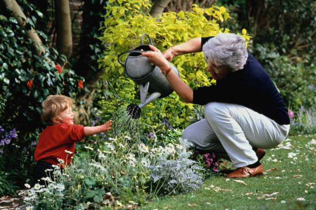 Как позаботиться о саде?
