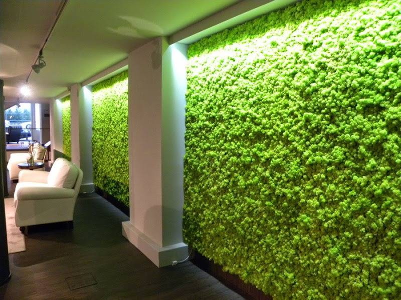 Что такое зеленые стены?